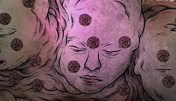 《猫博物馆》第一章大厅攻略