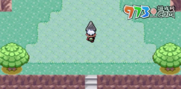 《口袋妖怪漆黑的魅影》诞生之岛三角推法