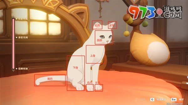 《原神》茸茸城堡大喵险第三关玩法攻略