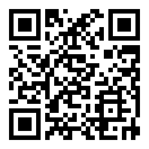 飞机模拟高手内置菜单二维码