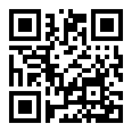 鱼丸小说二维码