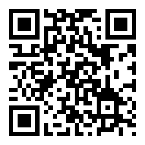 双截龙格斗二维码