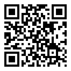 霓虹灯之夜二维码