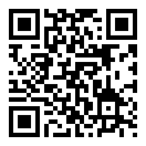 饭团小说纯净版二维码