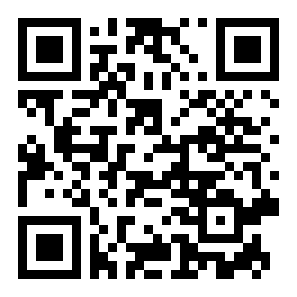 飞机大战2025二维码