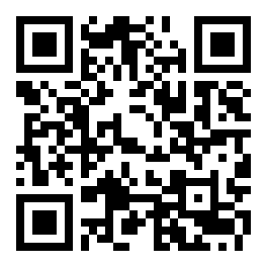 空港大亨二维码