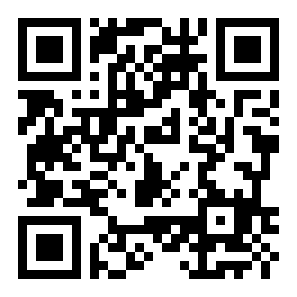 惊人的砖二维码