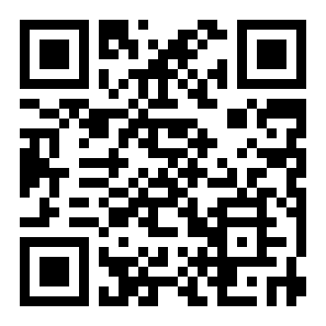 疯狂的飞机着陆二维码