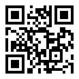 拯救公主骑士二维码