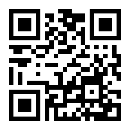 雷登战斗机二维码