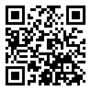 霓虹二重奏二维码