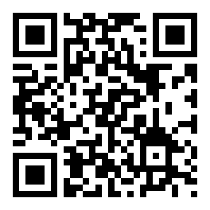 城堡征服者二维码