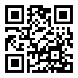 闪传王二维码
