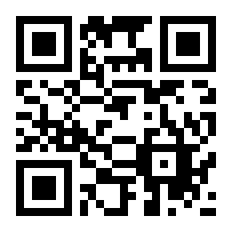 王者荣耀极光辅助二维码