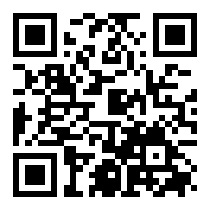 砖块之王二维码
