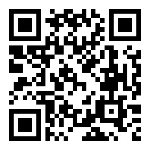 快闪壁纸二维码