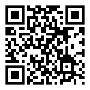 代号法师二维码