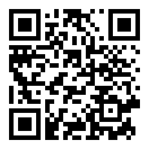 王者荣耀秒玩版二维码