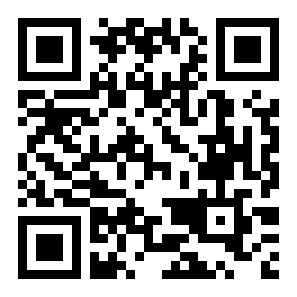 俄罗斯方块填充二维码