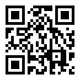 闲置飞机场模拟器大亨二维码