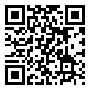 兵人城市守卫者二维码