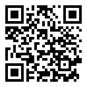 真实飞行模拟器正版二维码