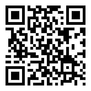 秀美主题二维码