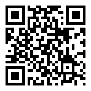 2048数字块二维码