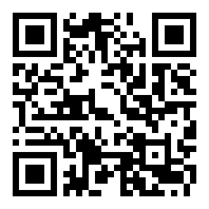 高速逃亡二维码