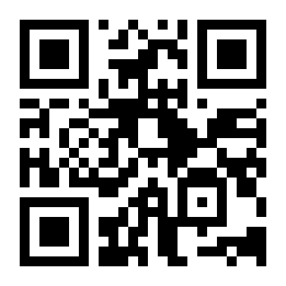 城市功夫格斗二维码