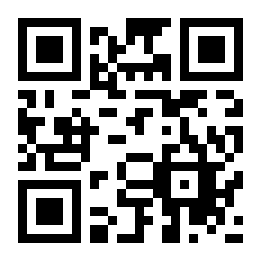 古怪的硬币二维码