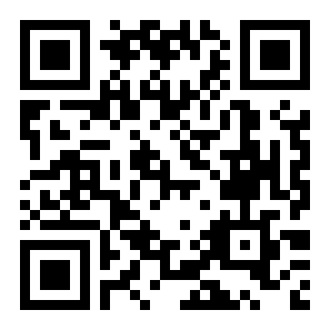 弹珠高手二维码