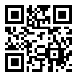 卡洛斯大城市模拟汽车二维码