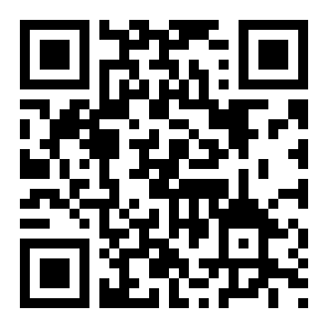 背包与冲突二维码