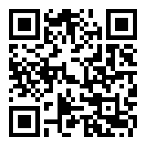 真实飞行模拟器2.0.9版二维码