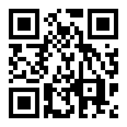 俄罗斯台球池二维码