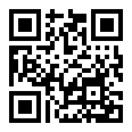 Dirt Buggin二维码