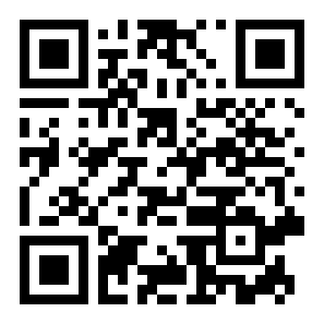 挂机护卫队二维码