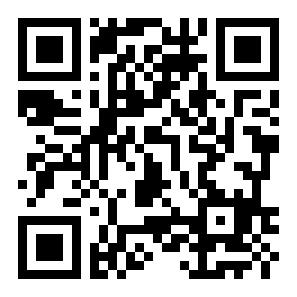 绚丽电量二维码