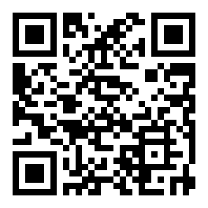 飞升大脑洞二维码