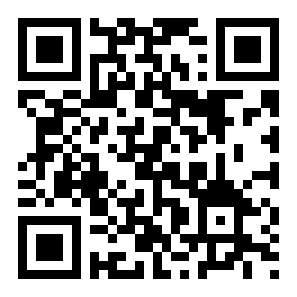 光盲游戏完整版二维码