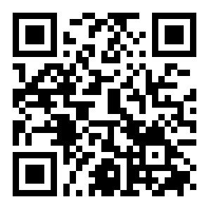 多边形艺术之谜二维码