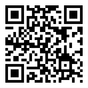 多元4D壁纸二维码