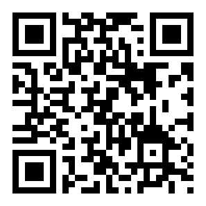 天天过马路哈基米版二维码