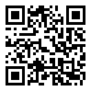 愣子逃亡二维码