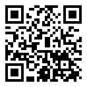 李小龙功夫王二维码