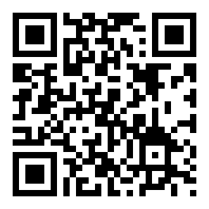 闪玩旧版本二维码