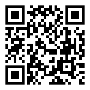 街头追逐者二维码