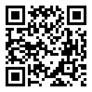 小偷猫碎砖块二维码