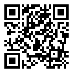 面部造型3D二维码